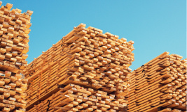 Streamlining Wood Freight for Success