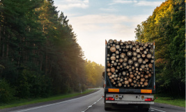 Trucking Lumber Cross-Border