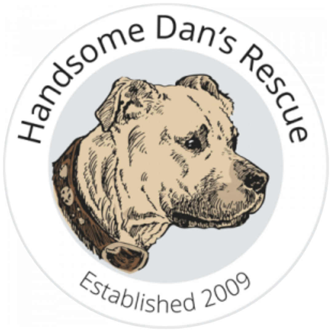 handsome dans rescue